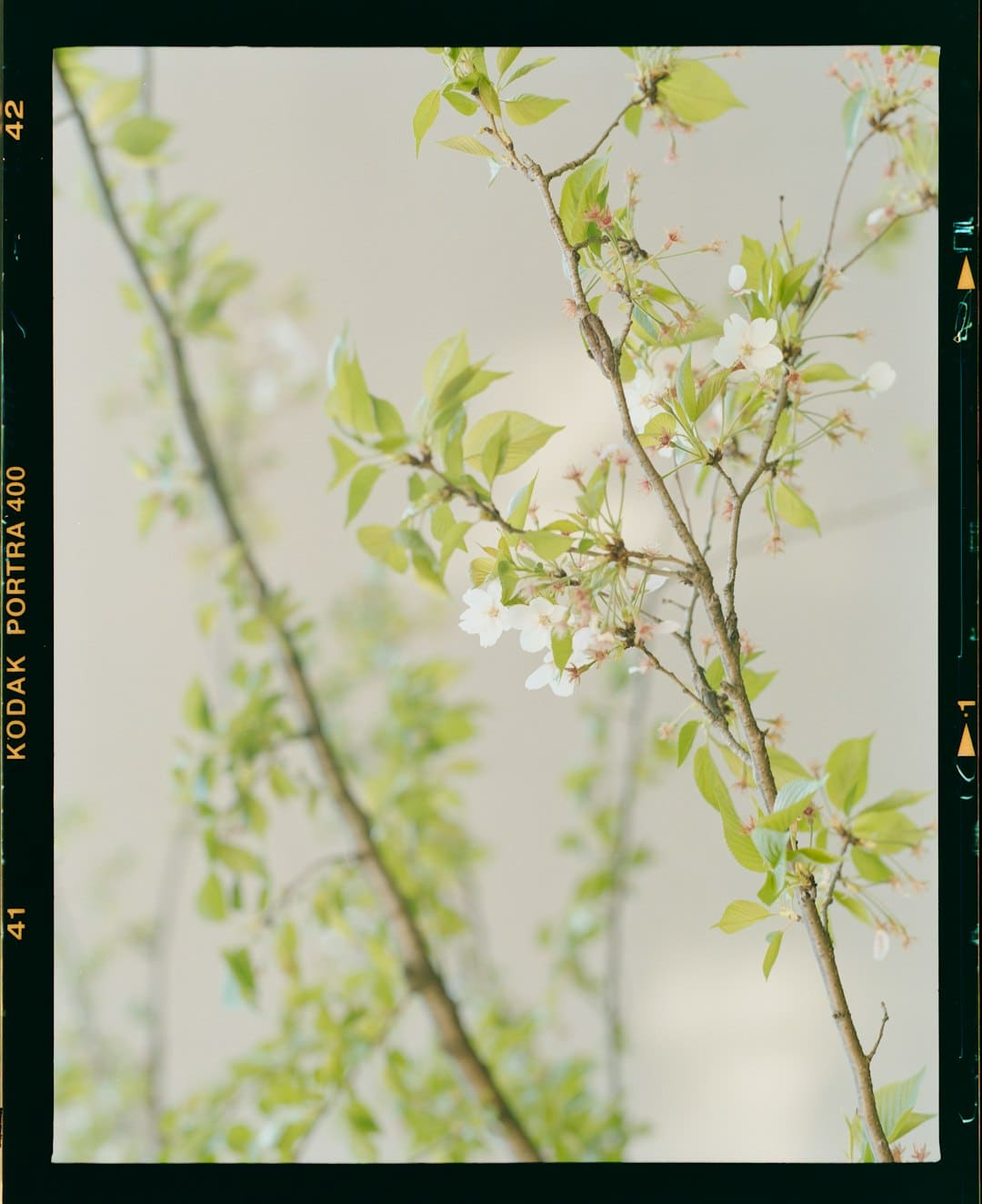 竭尽全力保秋粮安全（三夏进行时）